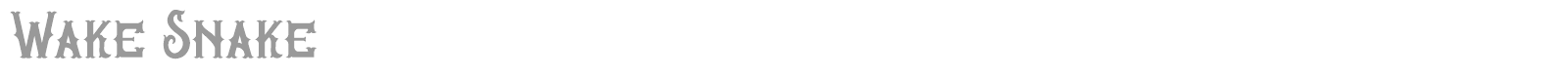 Wake Snake font preview
